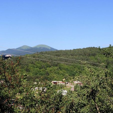 Dilijan Town Inn Dış mekan fotoğraf